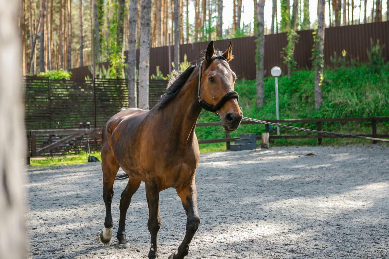 Verholy Relax Park Sosnovka Zewnętrze zdjęcie